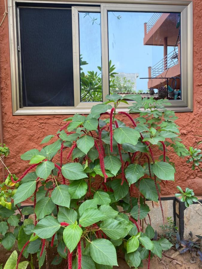 Residences Ouadada Porto-Novo Zewnętrze zdjęcie